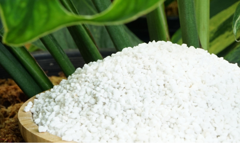 Đá Perlite - Loại Giá Thể Thần Kỳ Chuyên Cứu Sống Các Loài Kiểng Lá bị thối rễ