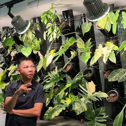 Chi phí tiền điện đèn quang hợp trồng cây trong nhà bao nhiêu?