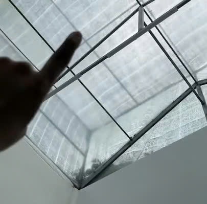 Cách Huy setup mái nhà để trồng cây kiểng lá