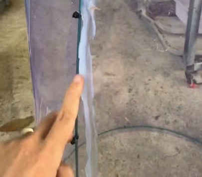 Cách làm lồng dưỡng kiểng lá yếu khi mới mua về hoặc cutting