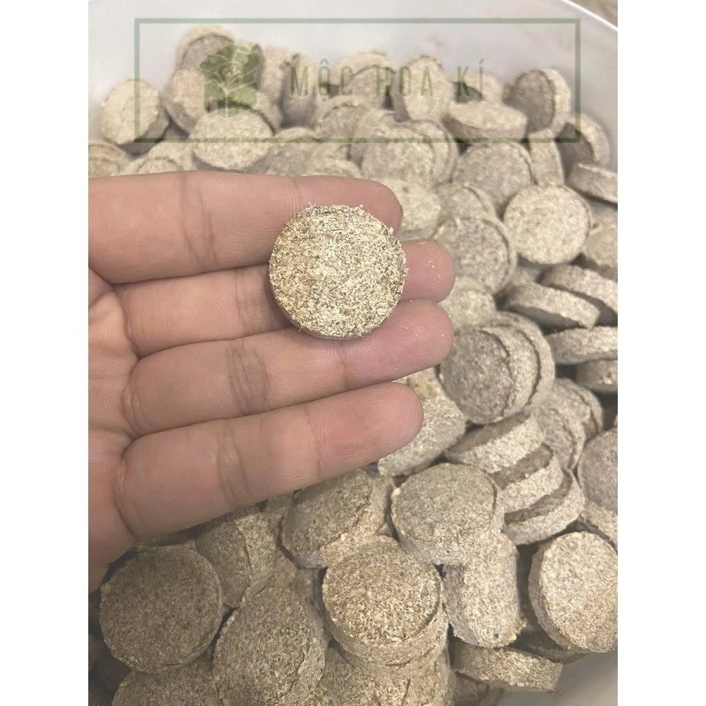Viên nấm rễ Myco Matrix / Asir-fruit (Tây Ban Nha) cung cấp vi