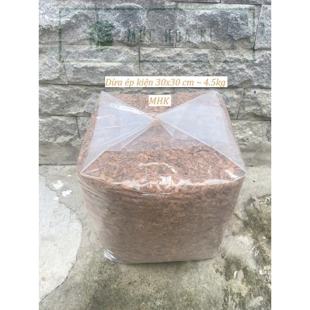 Kiện Dừa cắt 45Lít đã qua xử lí ~ 4.5kgs , dừa cục ép kiện 30x30x30