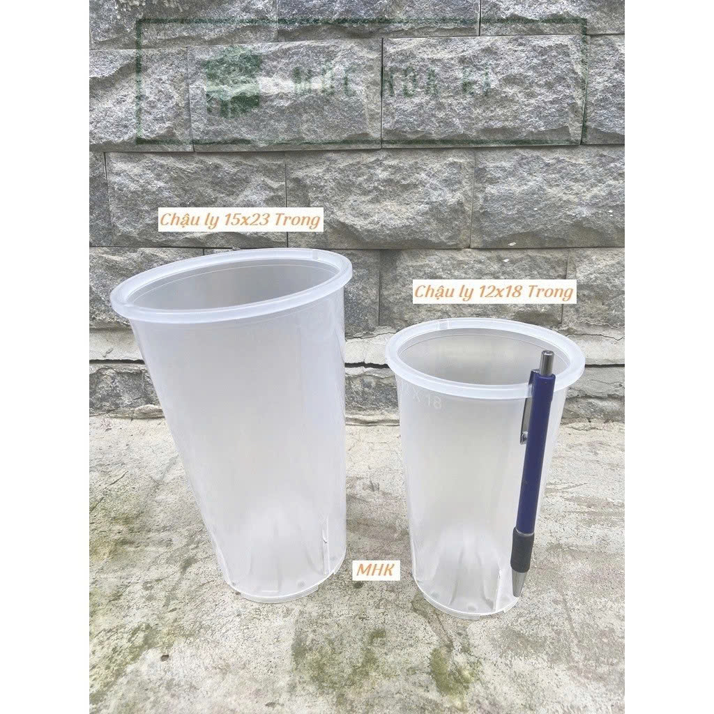 Chậu ly MHK , chậu trụ cao, 15x23 TRONG (nhựa cứng, đáy thoáng)