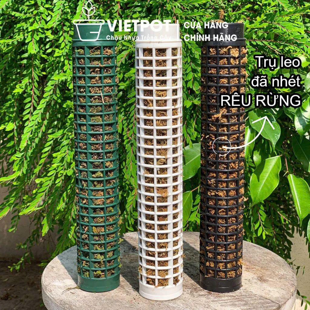 Trụ nhựa đã nhét rêu rừng VIETPOT, 29cm, vừa khớp gắn trụ