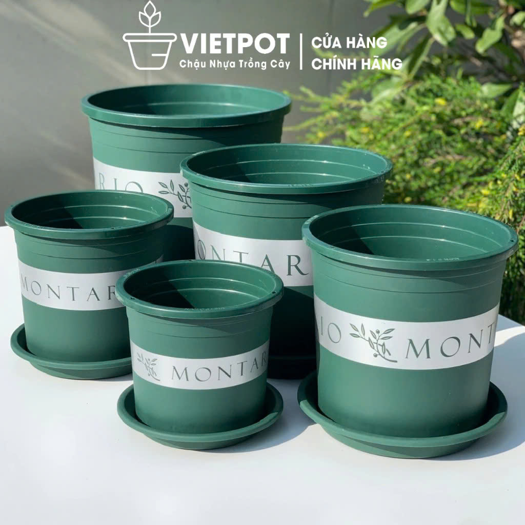 Chậu nhựa trồng cây VIETPOT, màu xanh Montario, trồng kiểng lá,