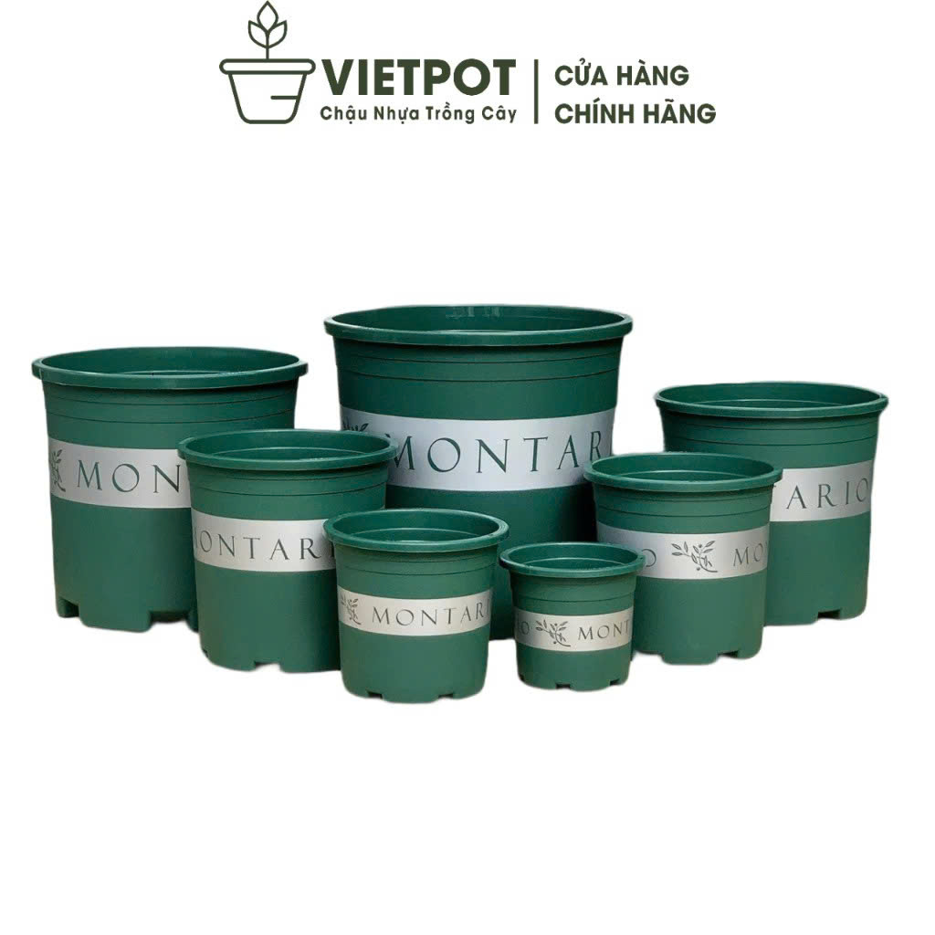 Chậu nhựa trồng cây VIETPOT, màu xanh Montario