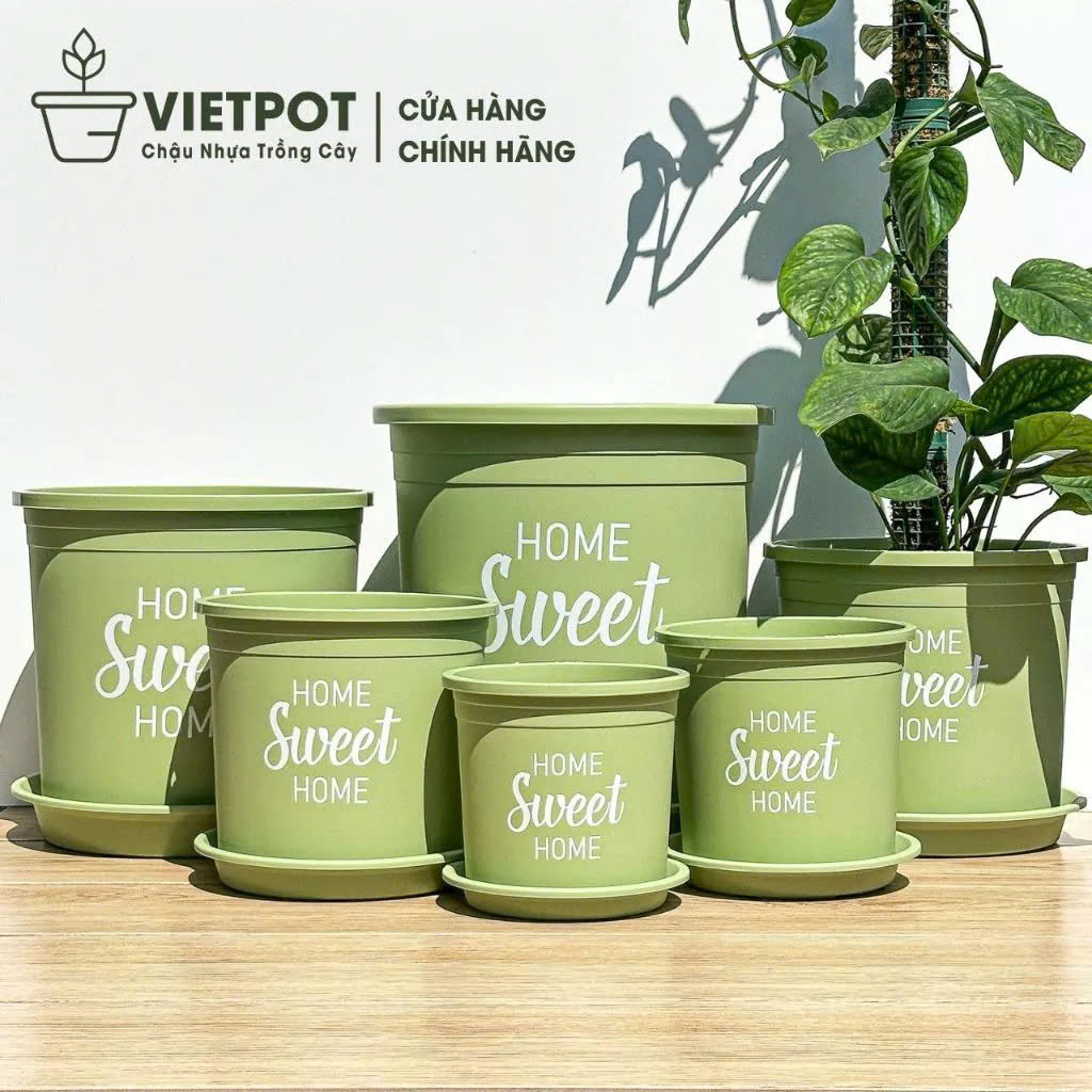 Chậu nhựa trồng cây VIETPOT, màu xanh Mint, hoa văn Sweet