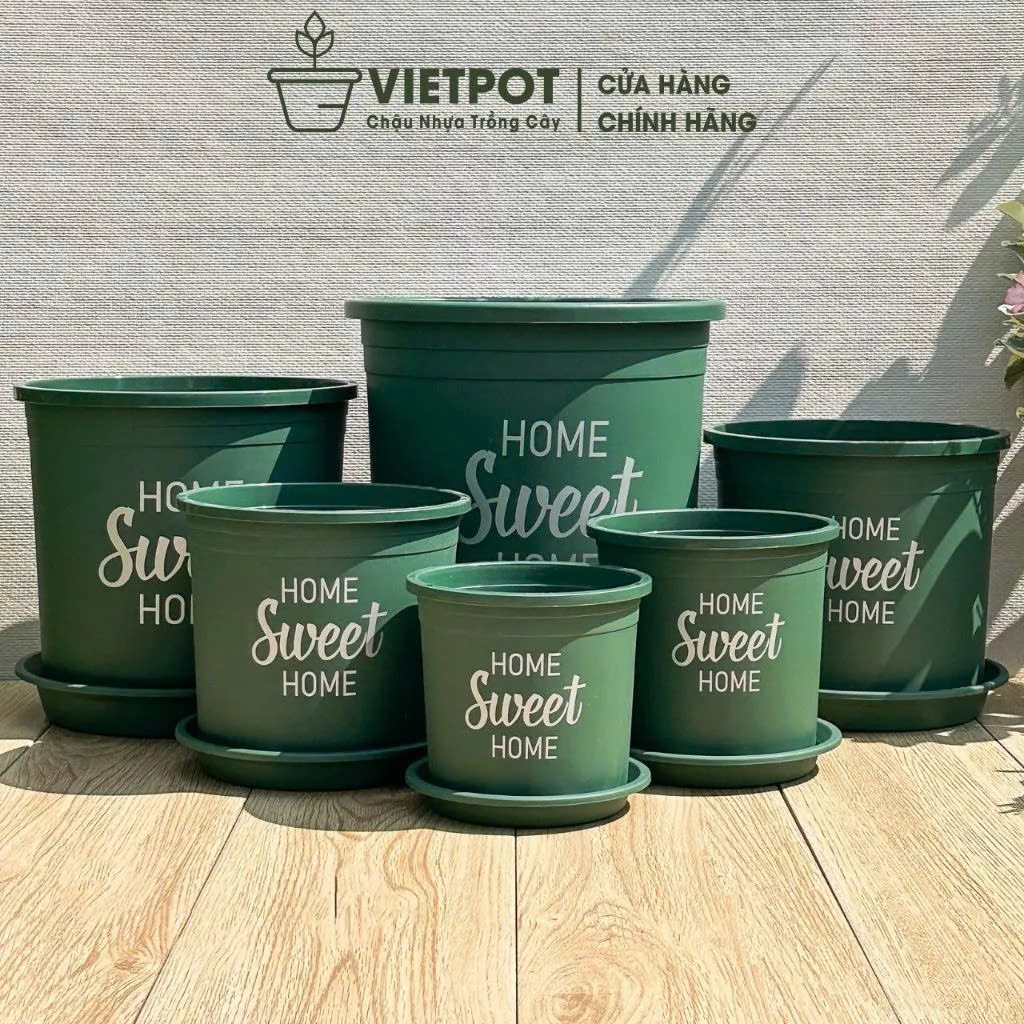 Chậu nhựa trồng cây VIETPOT, màu xanh, hoa văn Sweet Home, trồng hoa kiểng lá, để nhà