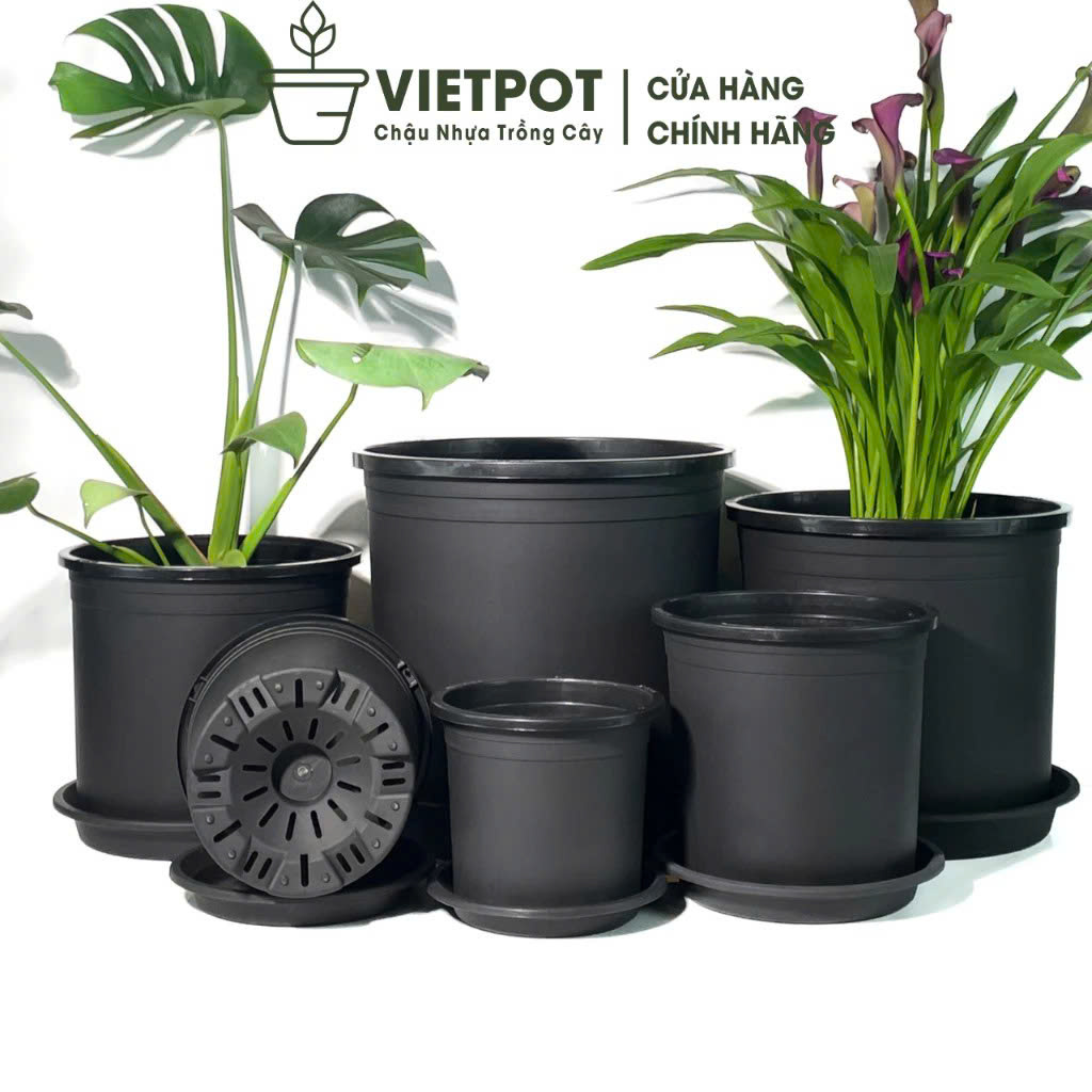 Chậu nhựa trồng cây VIETPOT, màu đen trơn, hoa kiểng, trang trí nhà.