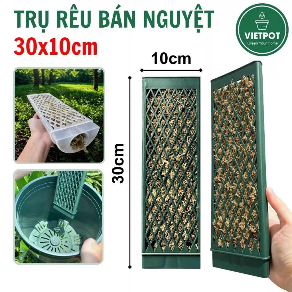 Trụ rêu bán nguyệt VIETPOT, 30x10cm